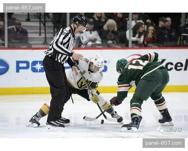 NHL宣布成立专项小组，研究球员头盔安全性能提升方案